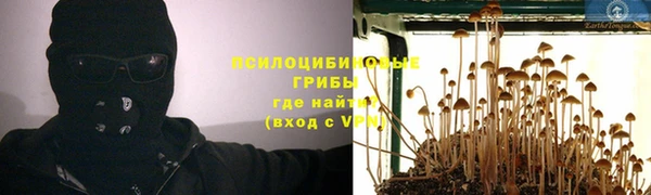 дурь Осинники