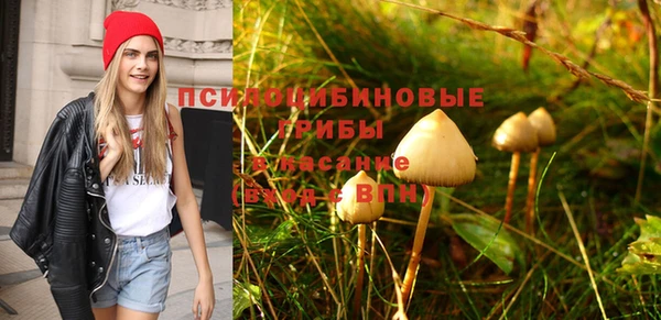 PSILOCYBIN Бородино