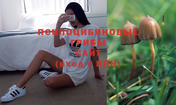COCAINE Верея