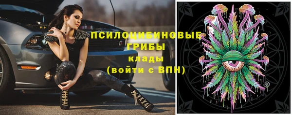 PSILOCYBIN Верхний Тагил