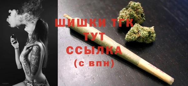 PSILOCYBIN Верхний Тагил